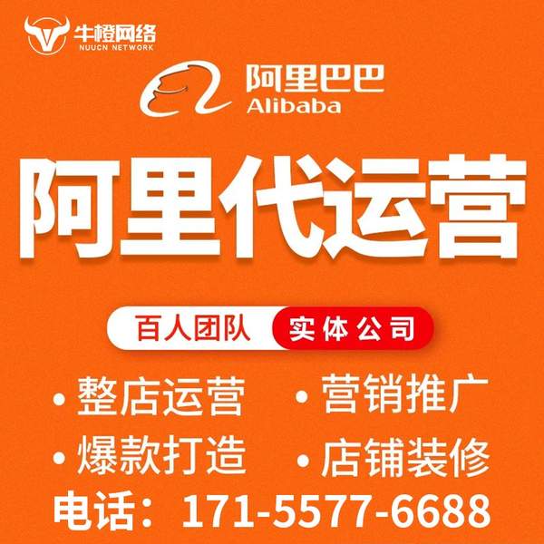 乐清电商代运营