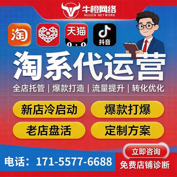 乐清电商代运营