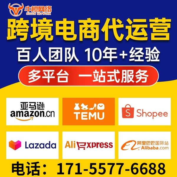 乐清电商代运营