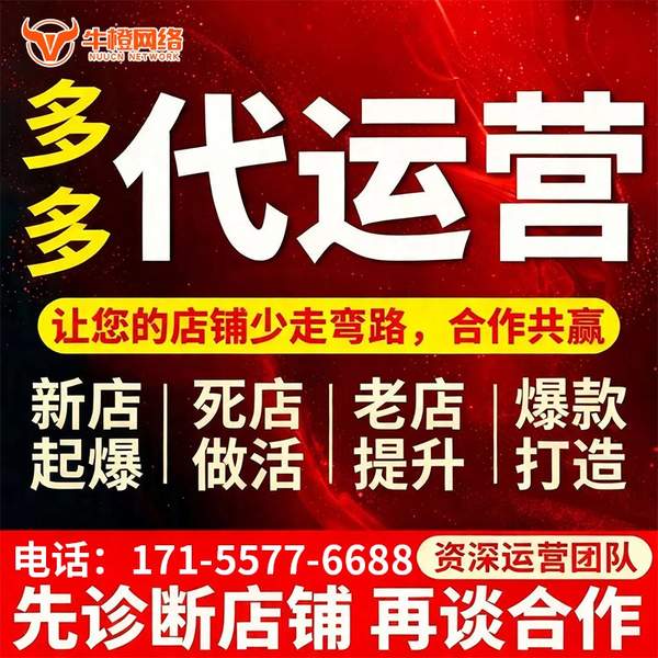 乐清电商代运营