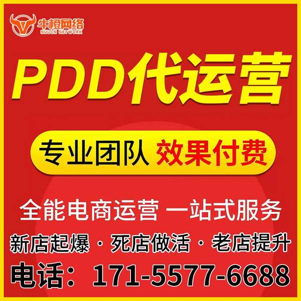 乐清电商代运营