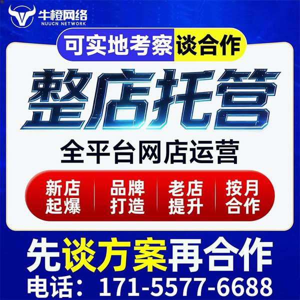 乐清电商代运营
