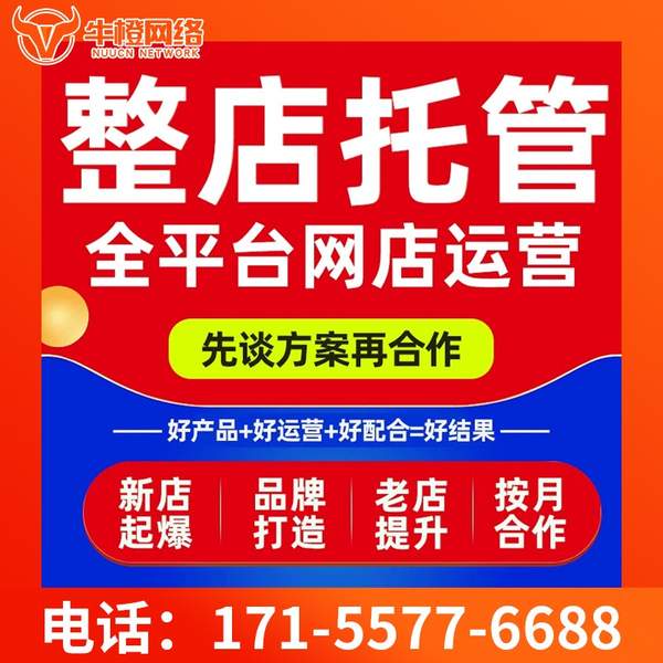 乐清电商代运营