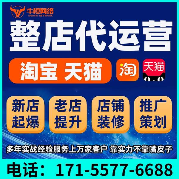乐清电商代运营