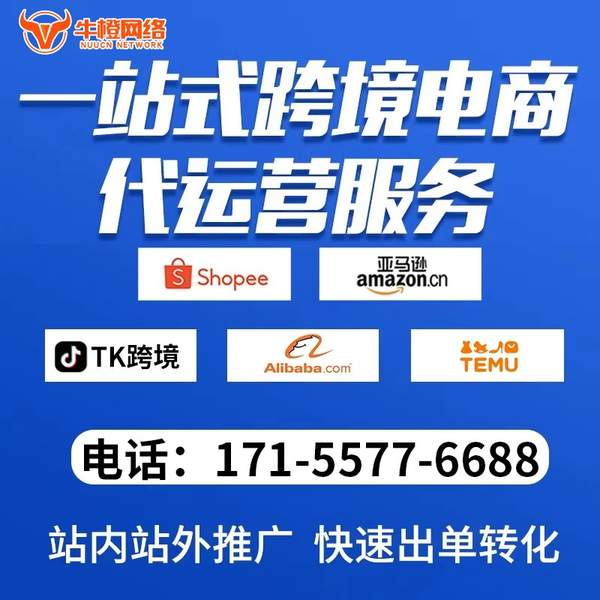 乐清电商代运营