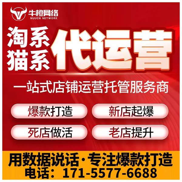 乐清电商代运营